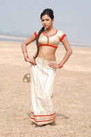 Amala Paul Latest Photos
